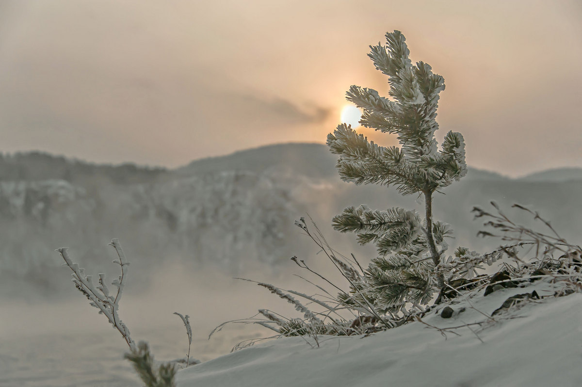 К вечеру с ветром на закате...