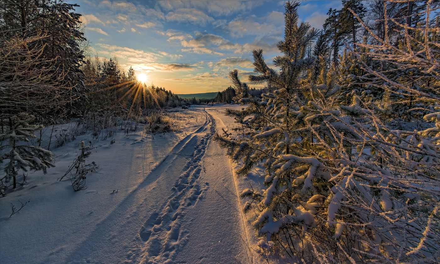 Утренние следы