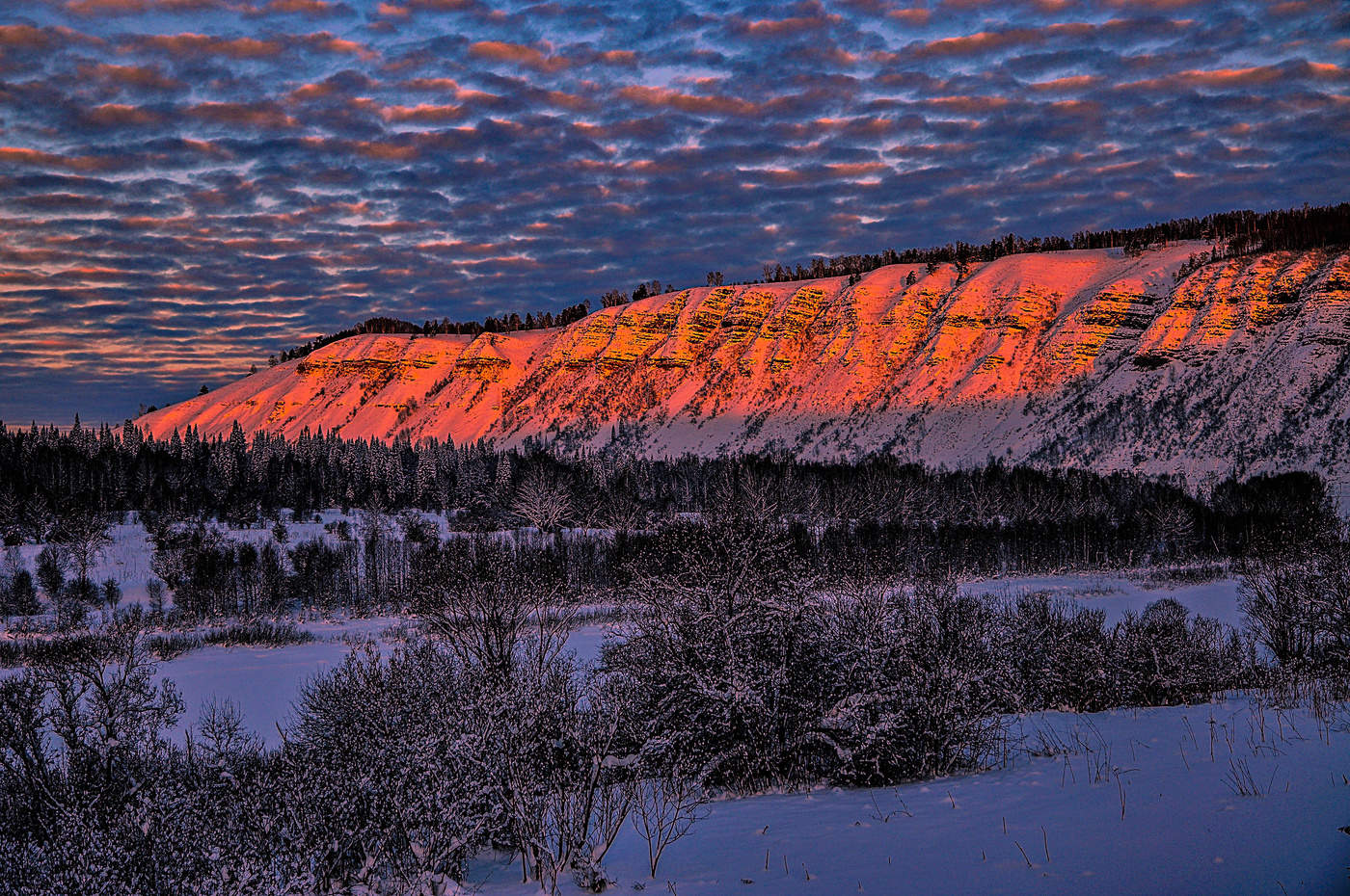 С началом зимы