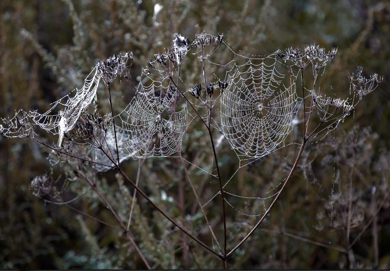 Коммунальная квартира