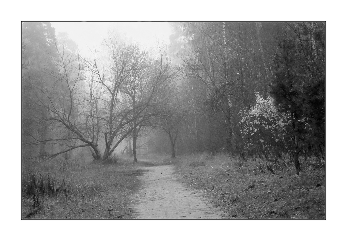 осенняя пора