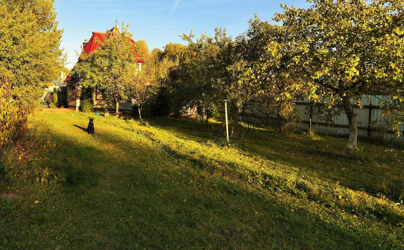 "О счастье мы всегда лишь вспоминаем ..."