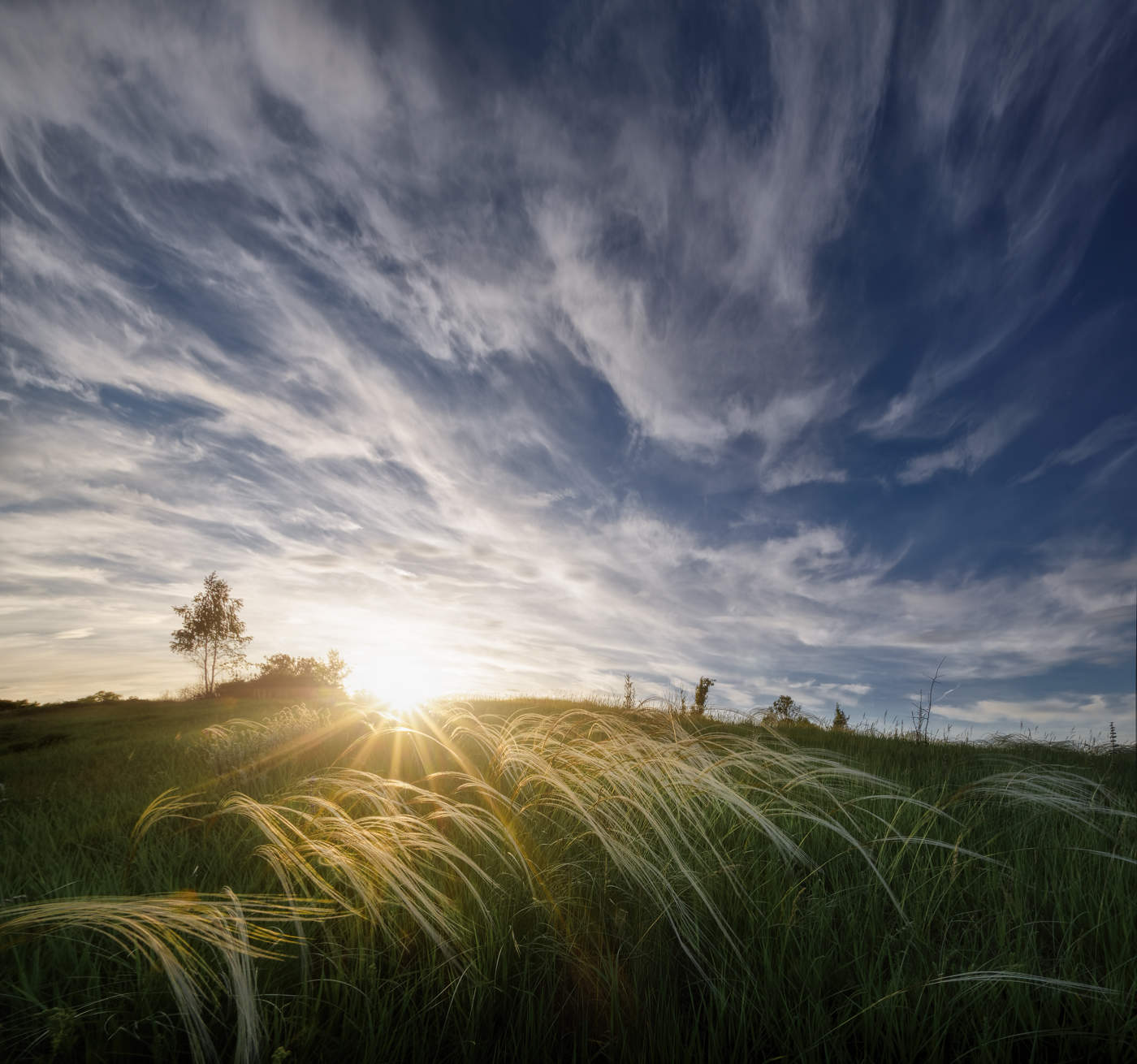 Расплескалось солнце по лугам.