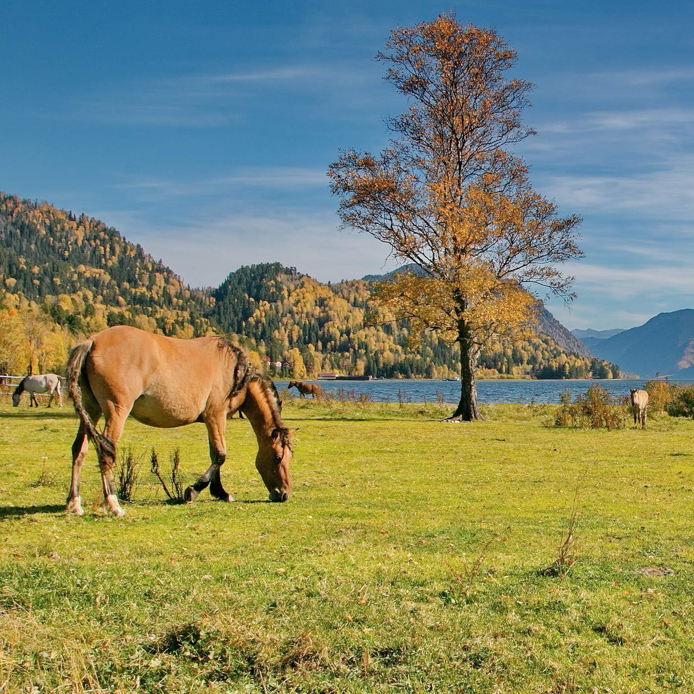 Осенним полднем.