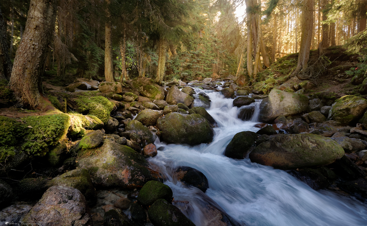 В поисках света #2