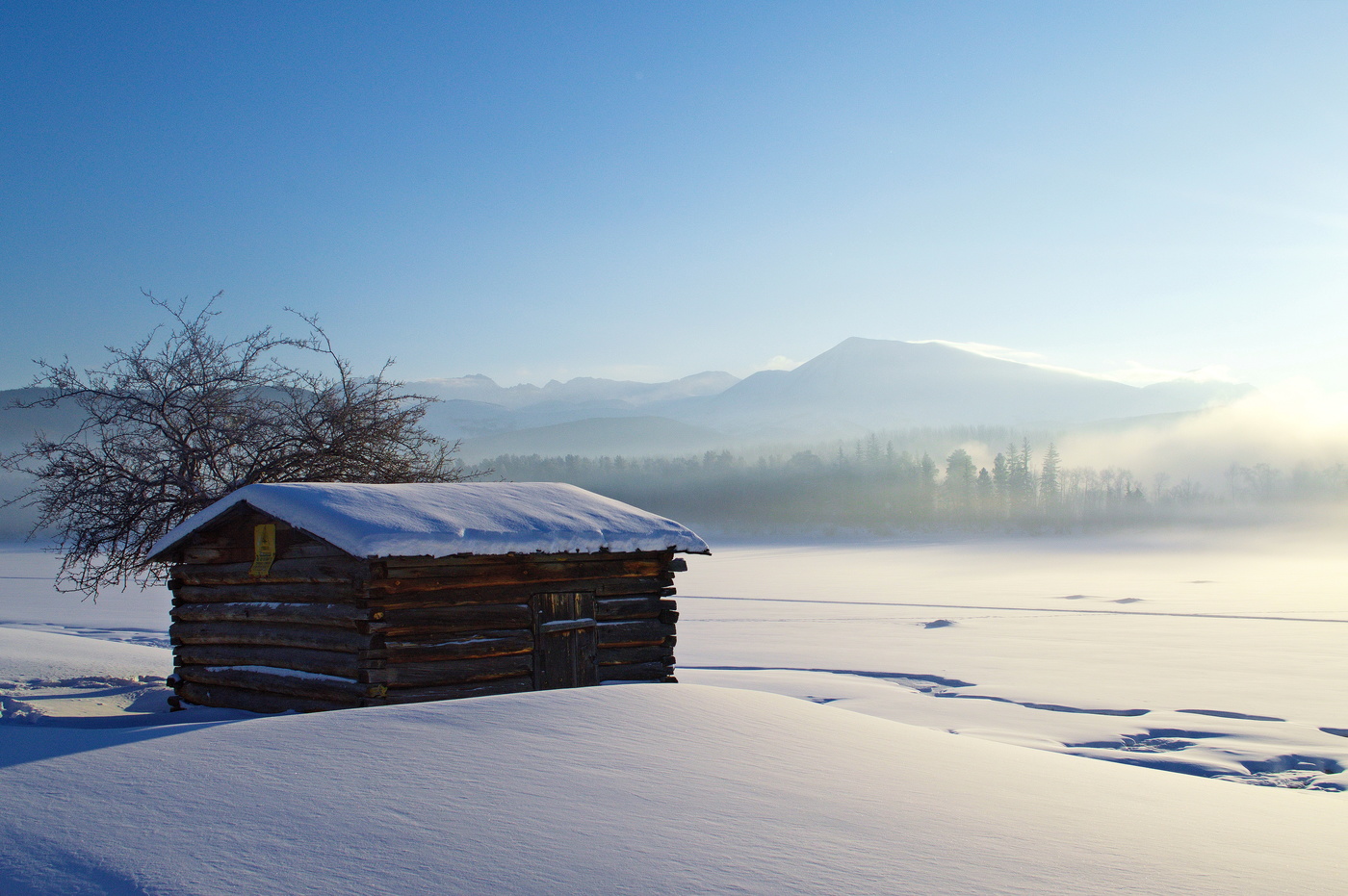 Заснеженная пятница