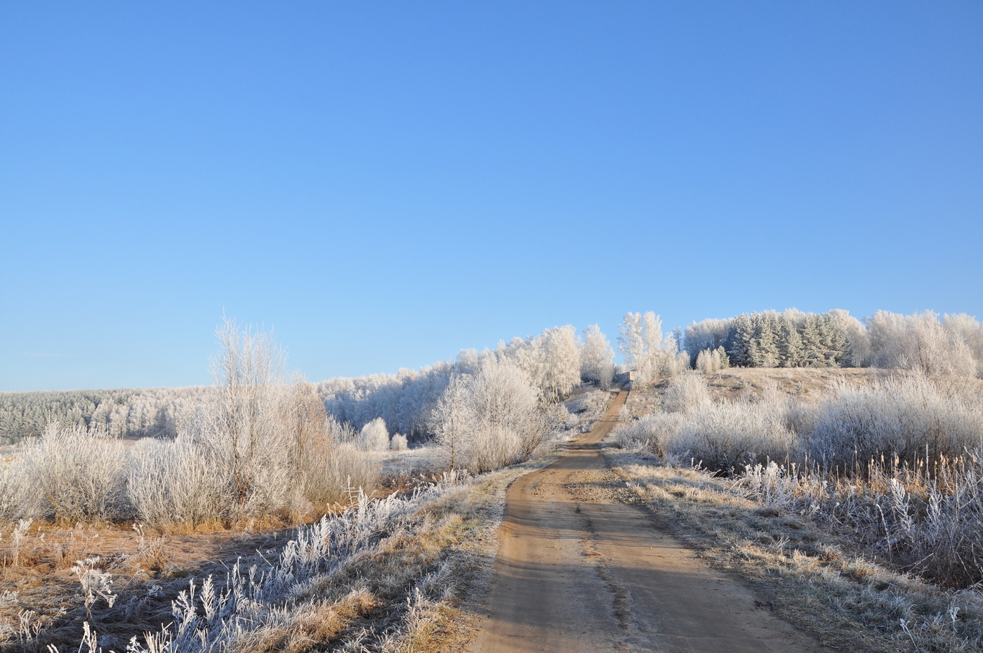 Заснеженная пятница