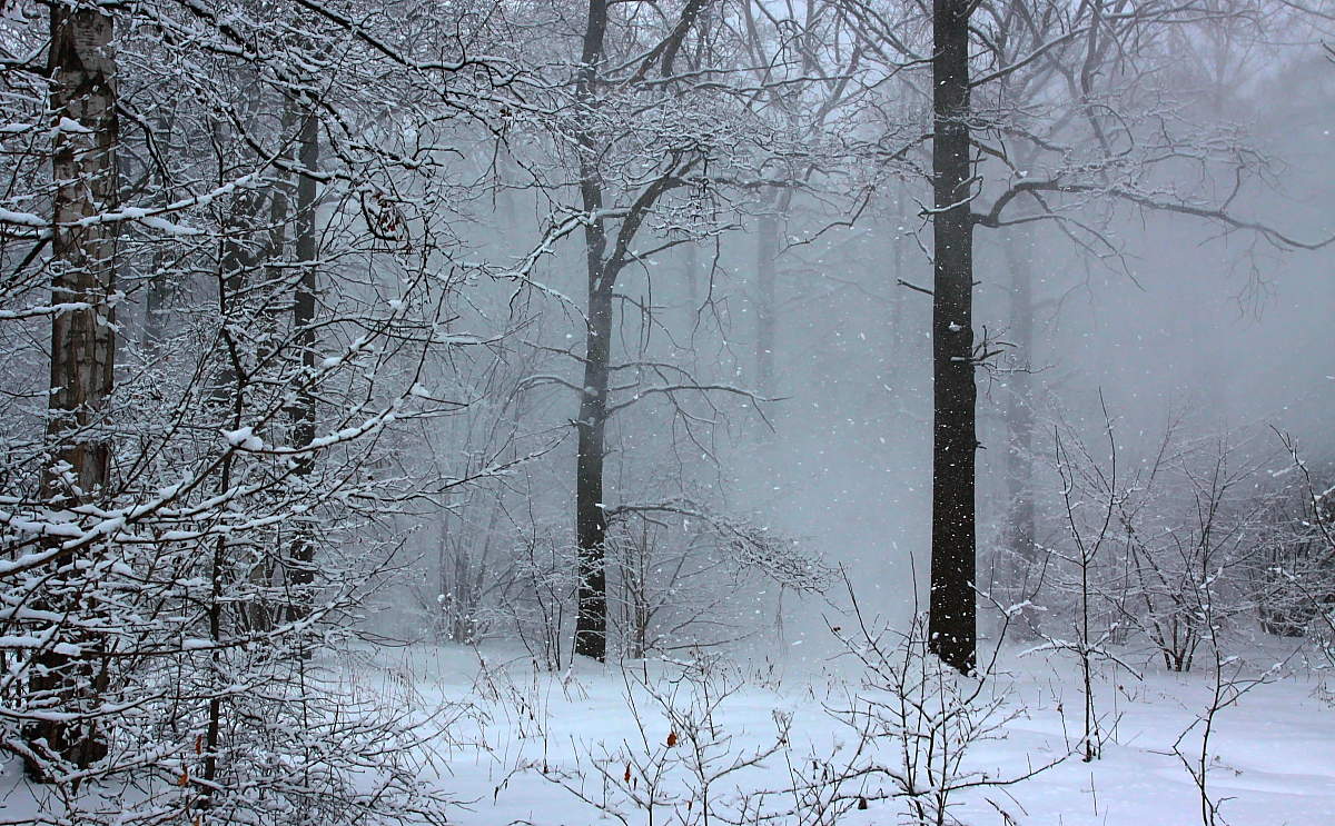 Заснеженная пятница