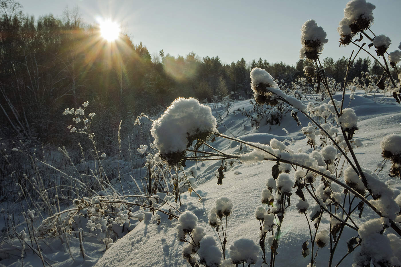 Заснеженная пятница