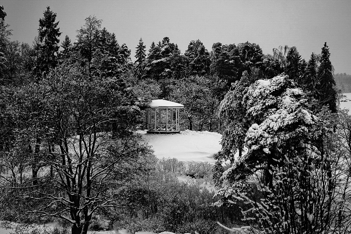 Заснеженная пятница