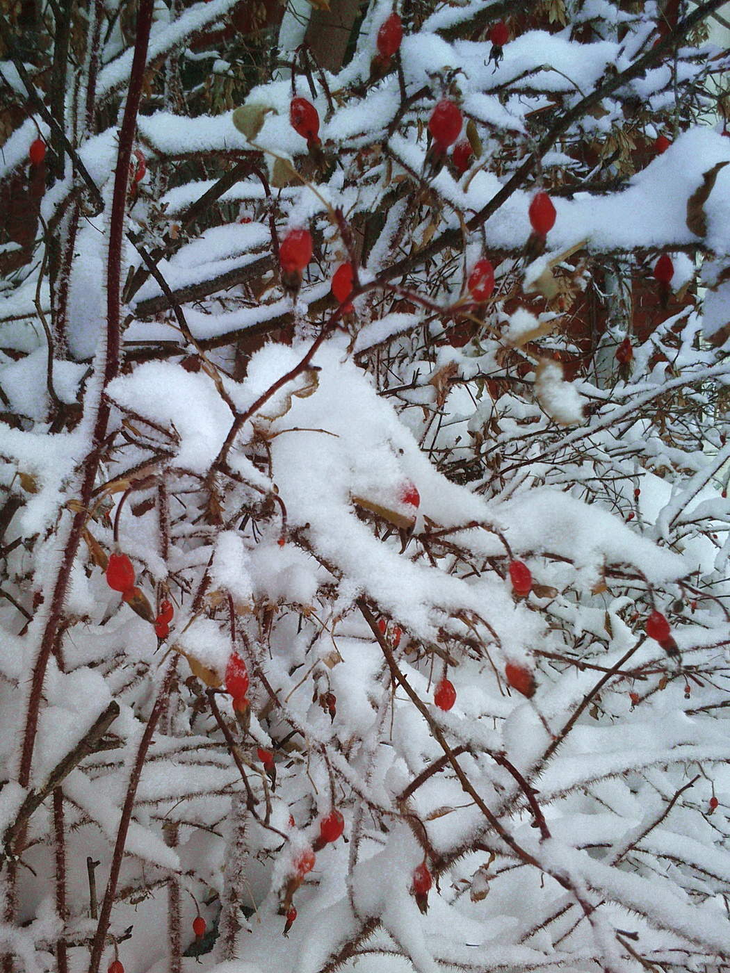 Заснеженная пятница