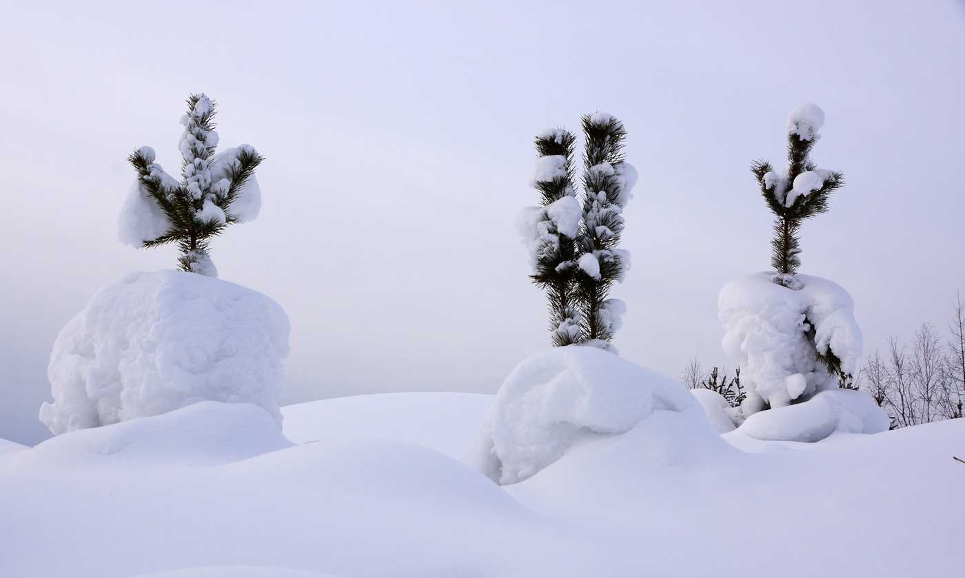 Заснеженная пятница