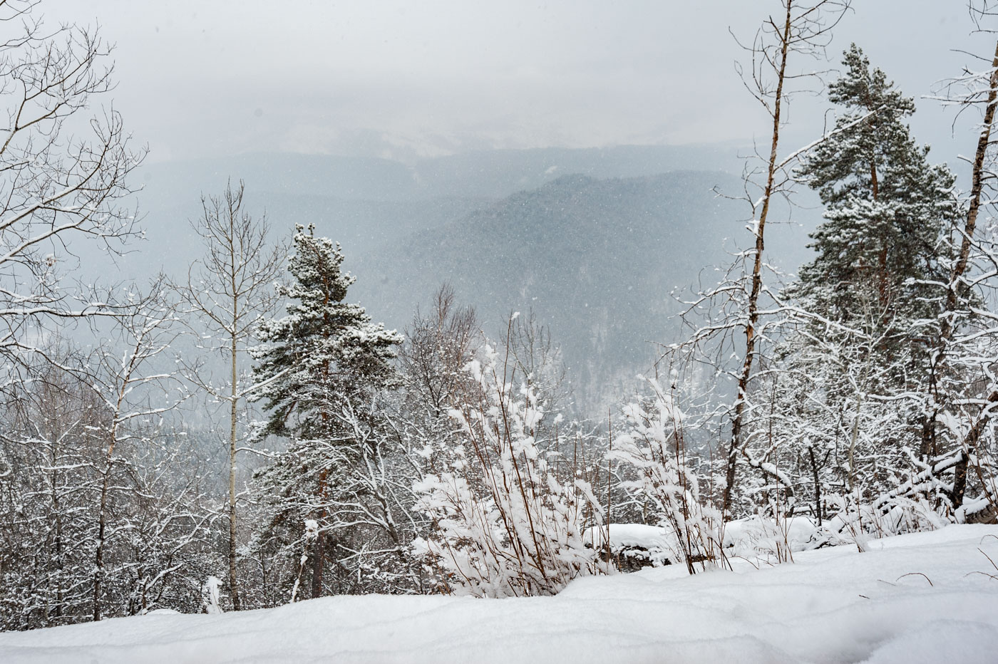 Заснеженная пятница