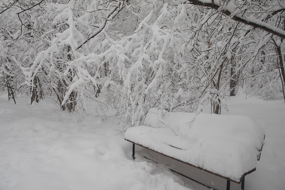 Заснеженная пятница