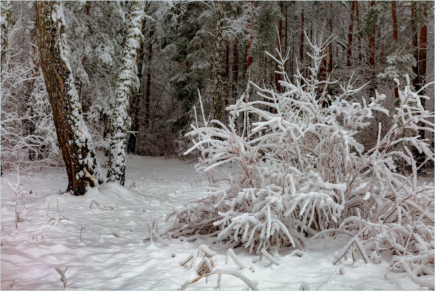 Без названия