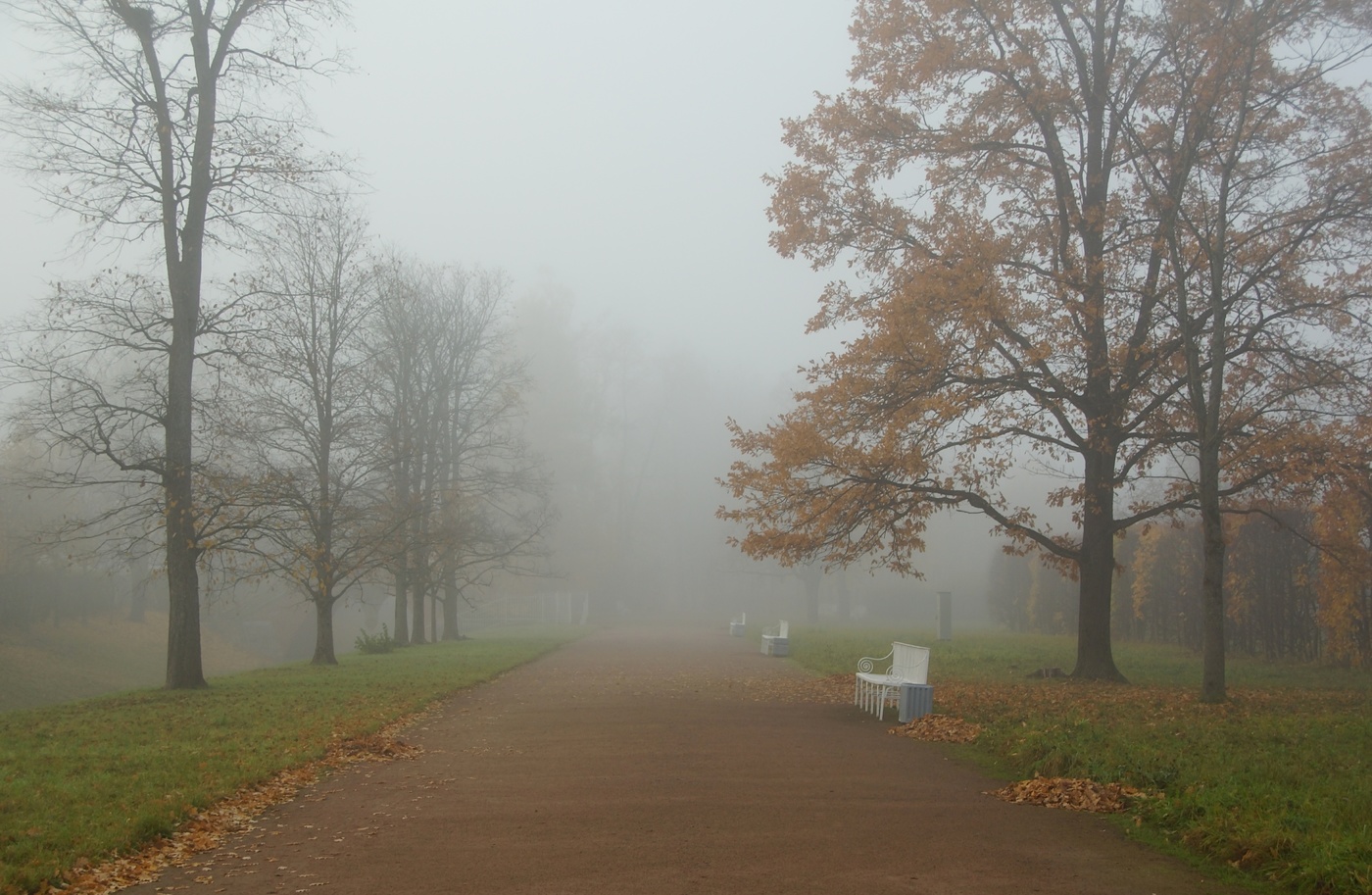 Осеннее утро...