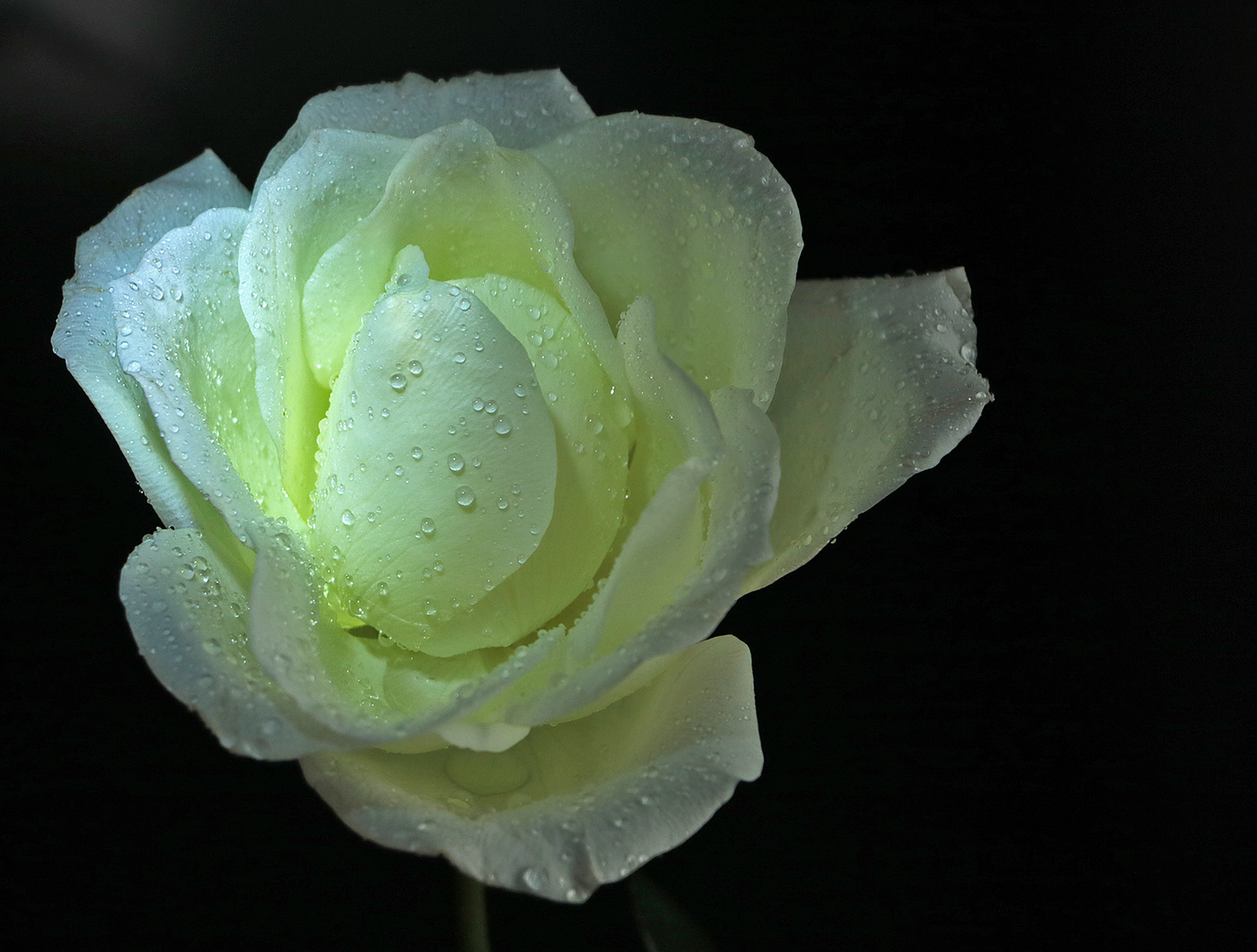 Белоснежка