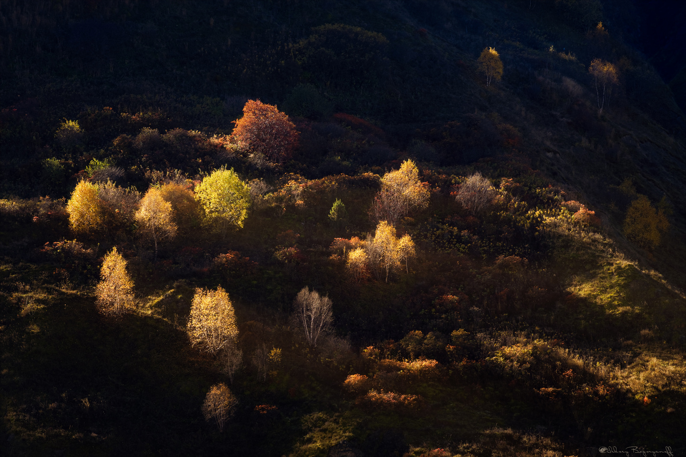 Здесь была Осень.