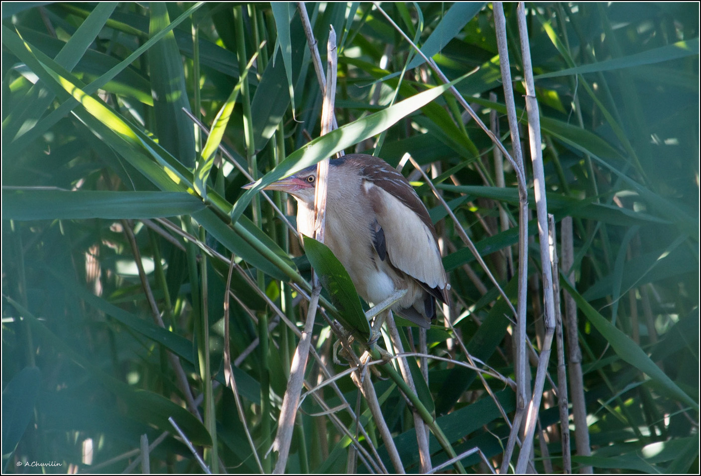 Всё под контролем )