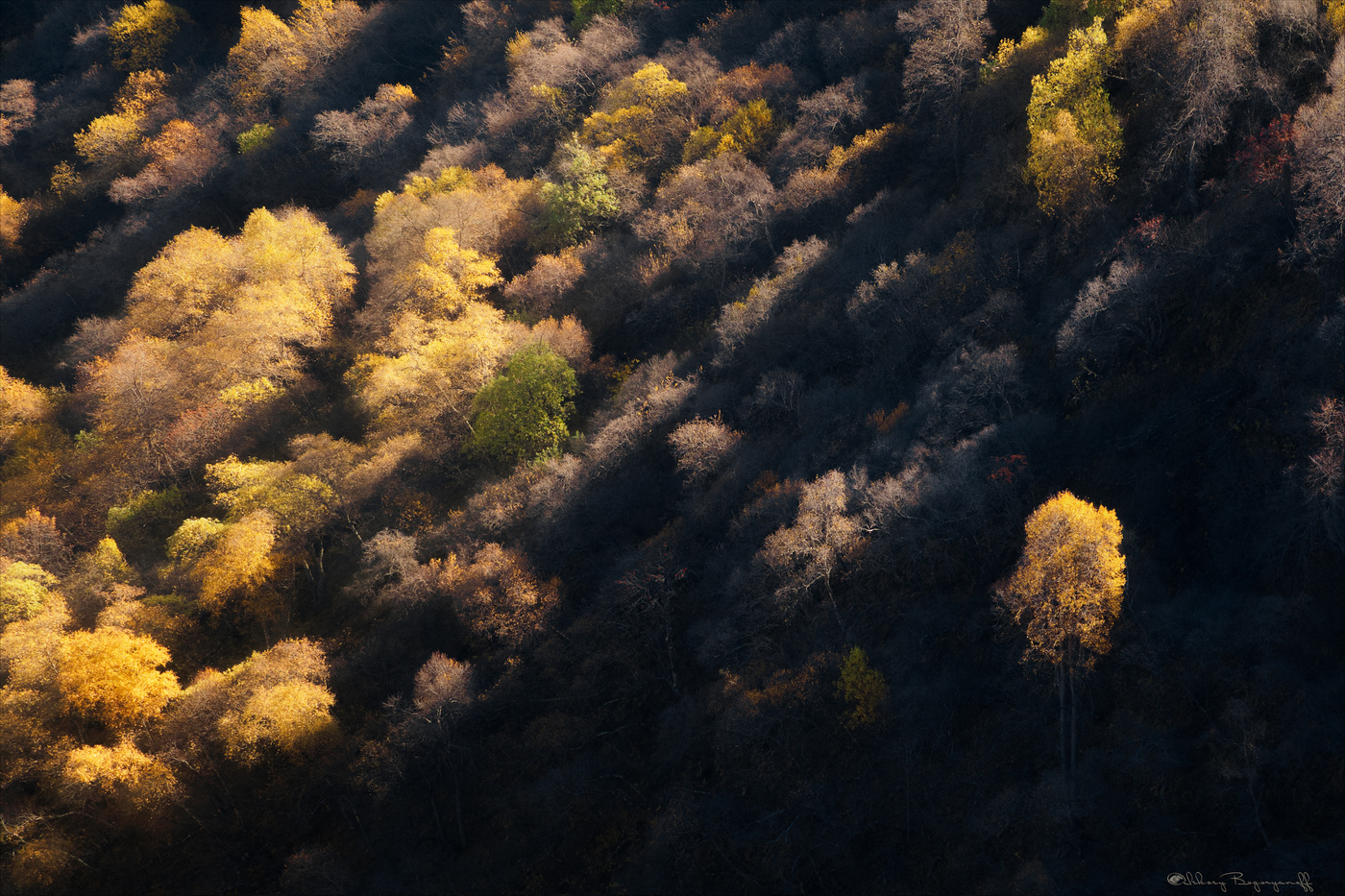 Здесь была Осень #2