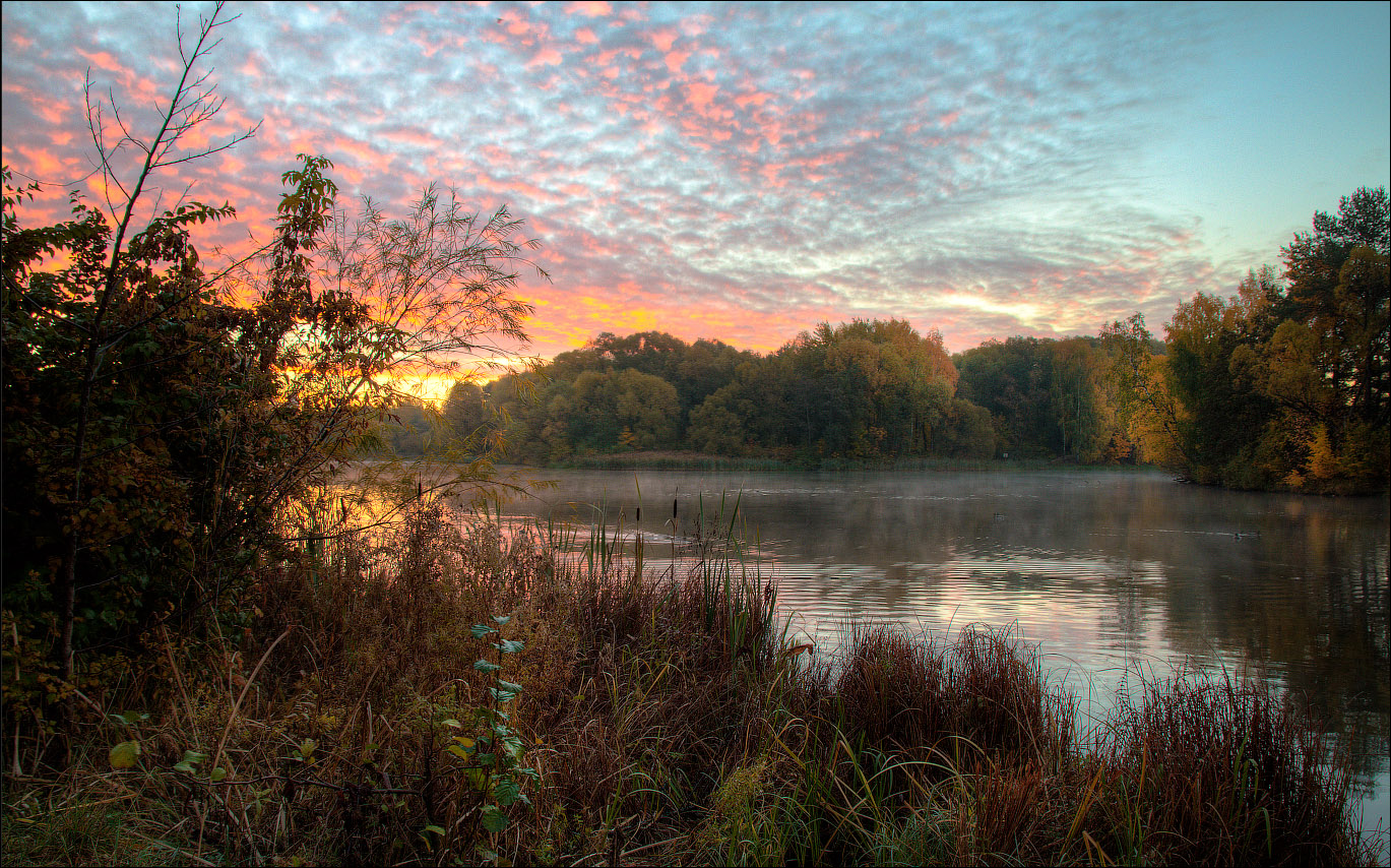 мимо проходил