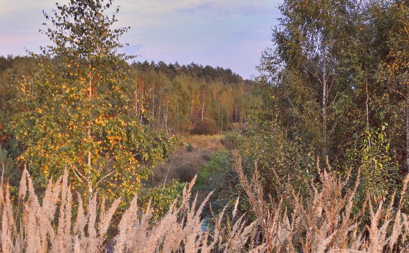 Осенние мотивы