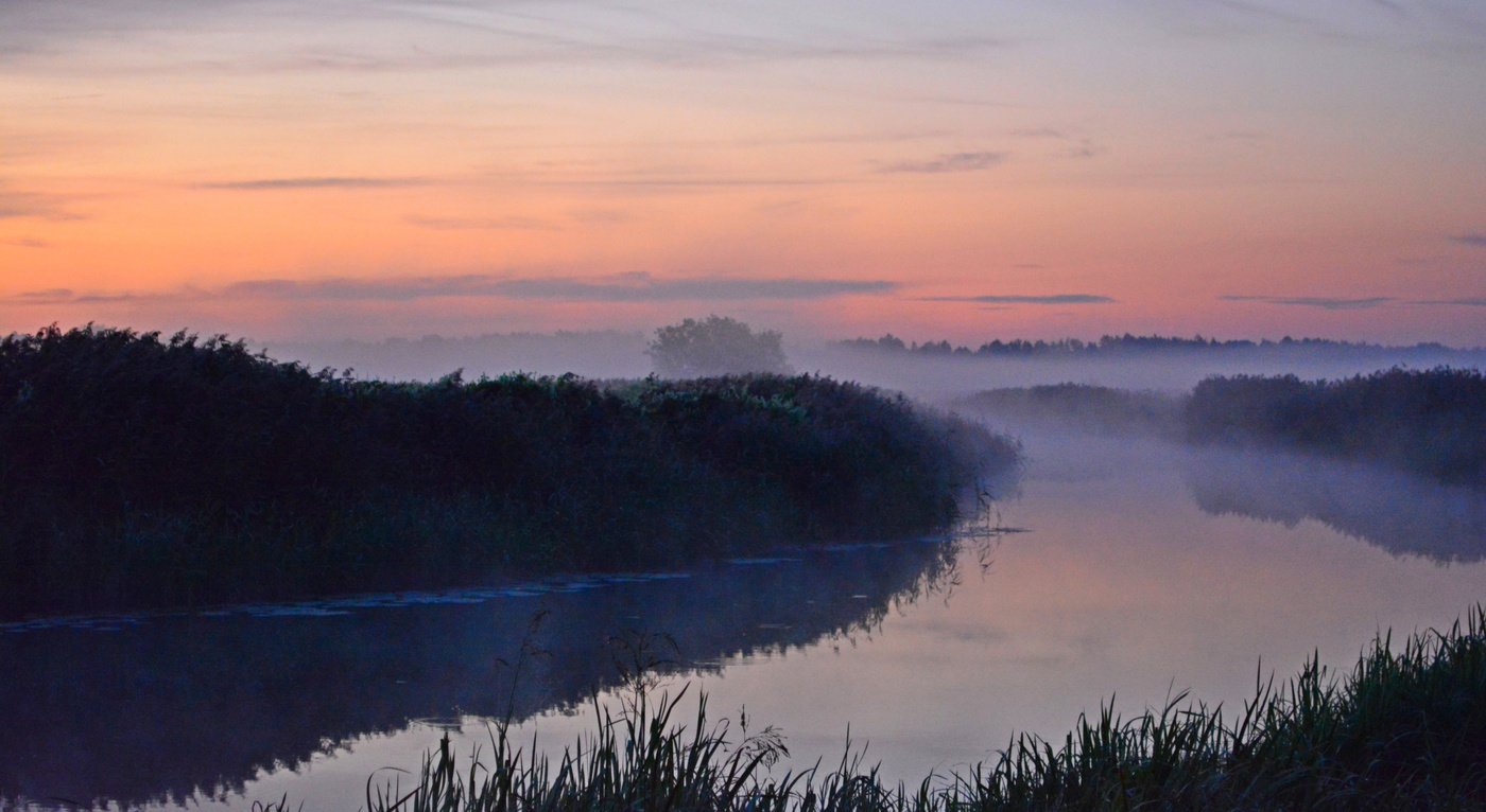 Время туманных рассветов