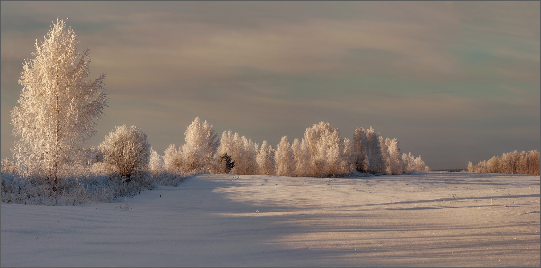 Без названия
