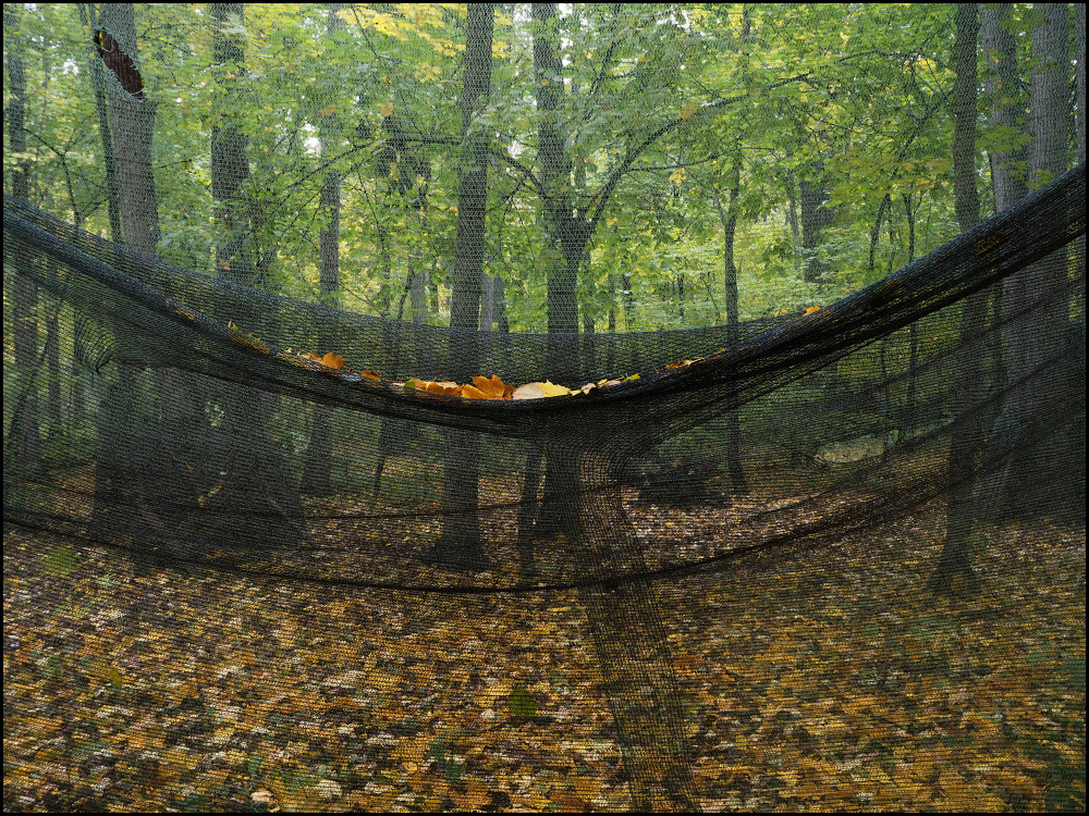 сопротивление материалов