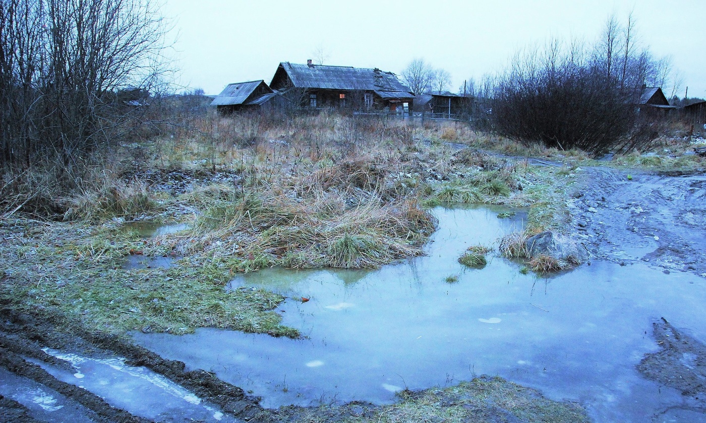 "И жить не хочется, и застрелиться лень ..."