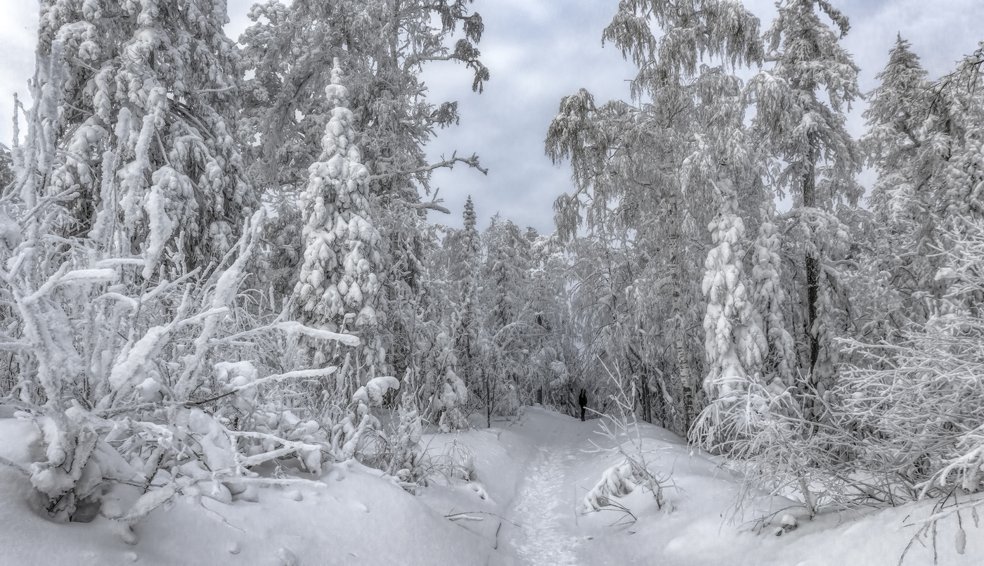 Зимняя тропинка