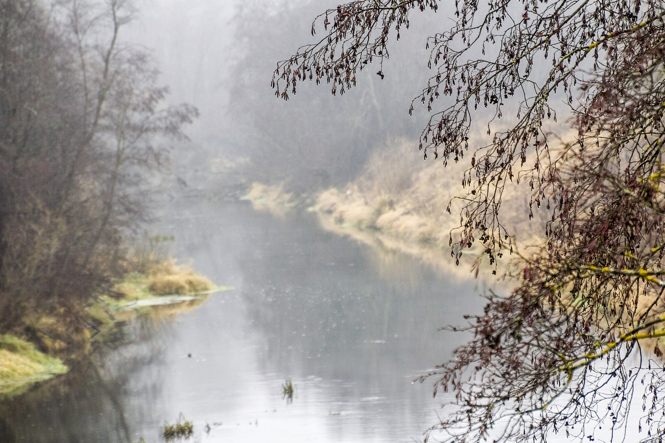 Осенняя капель