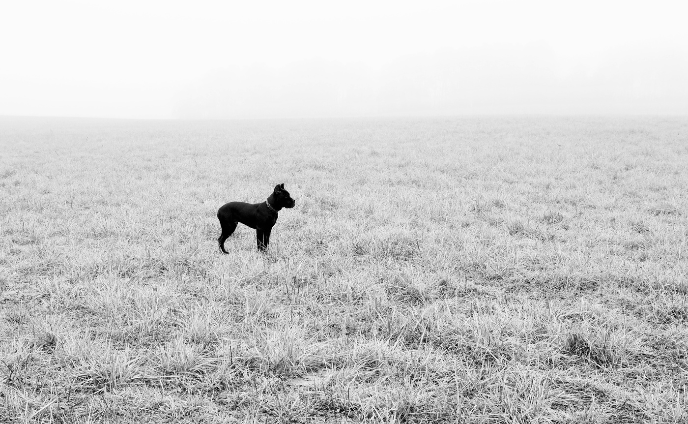 Одиночество ...