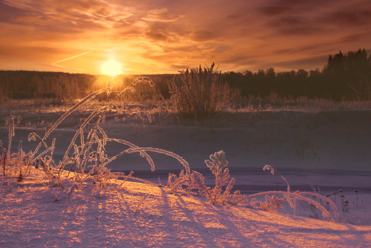 На встречу утренней заре