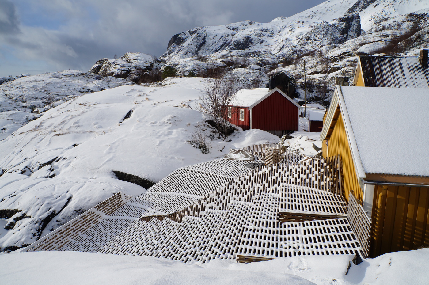 Противовес