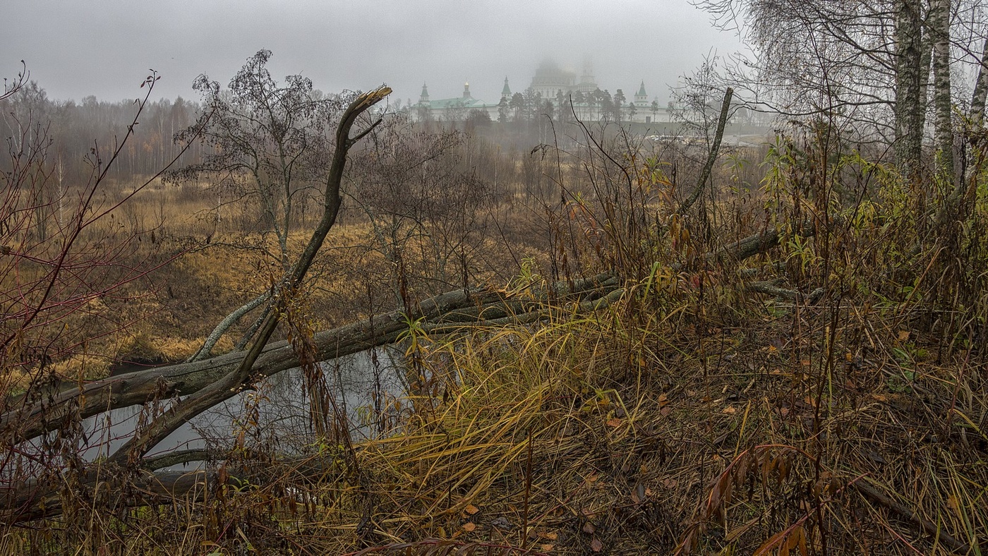 Берег Истры.