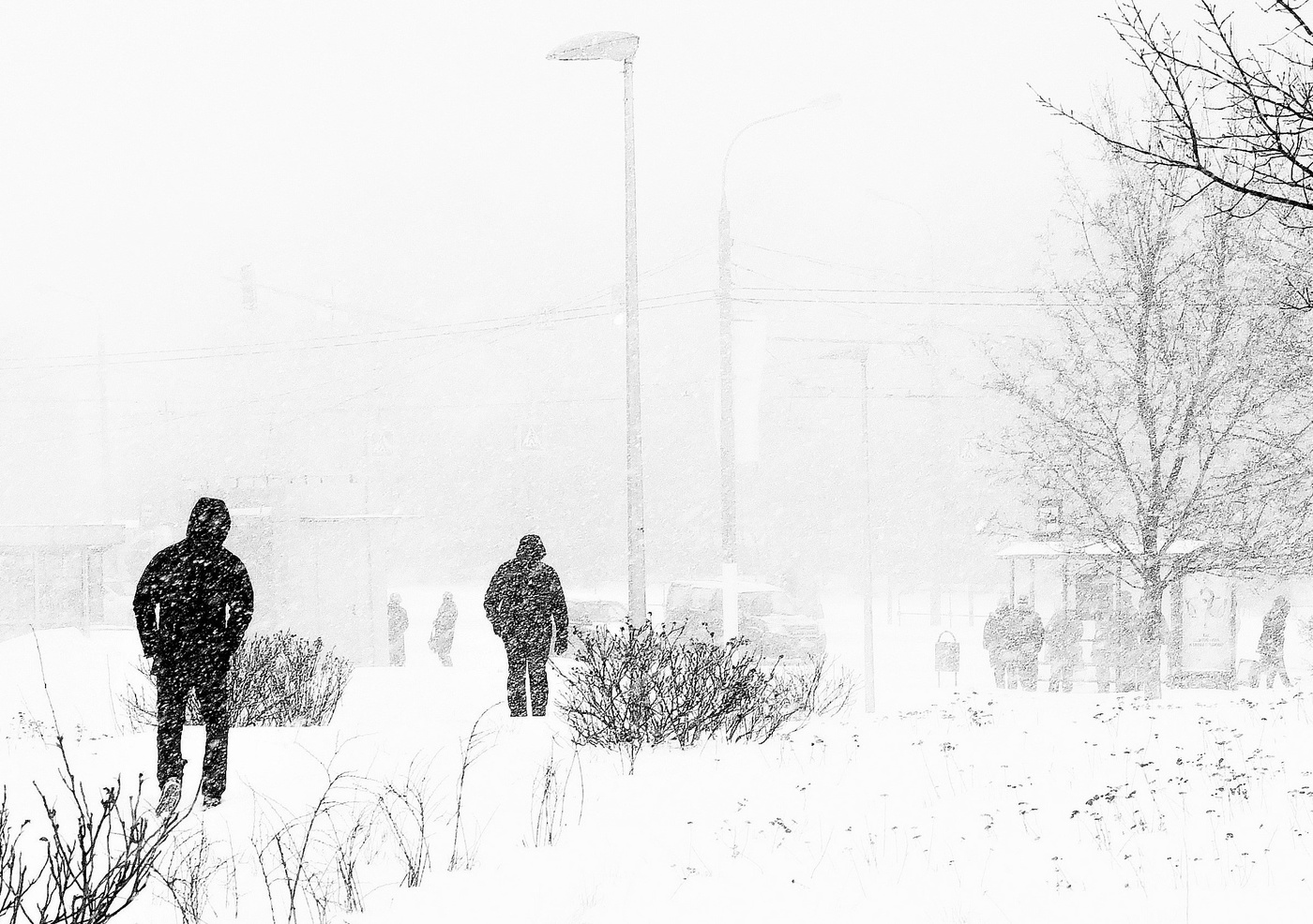 "Плачет метель, как цыганская скрипка ..."