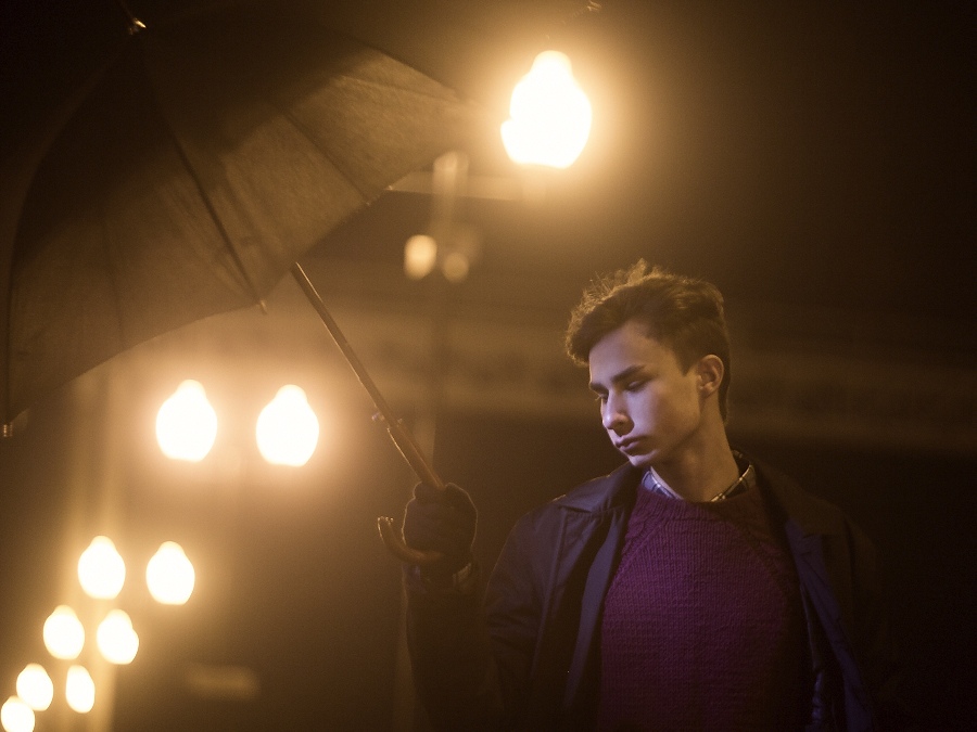 Вечерняя в цвете