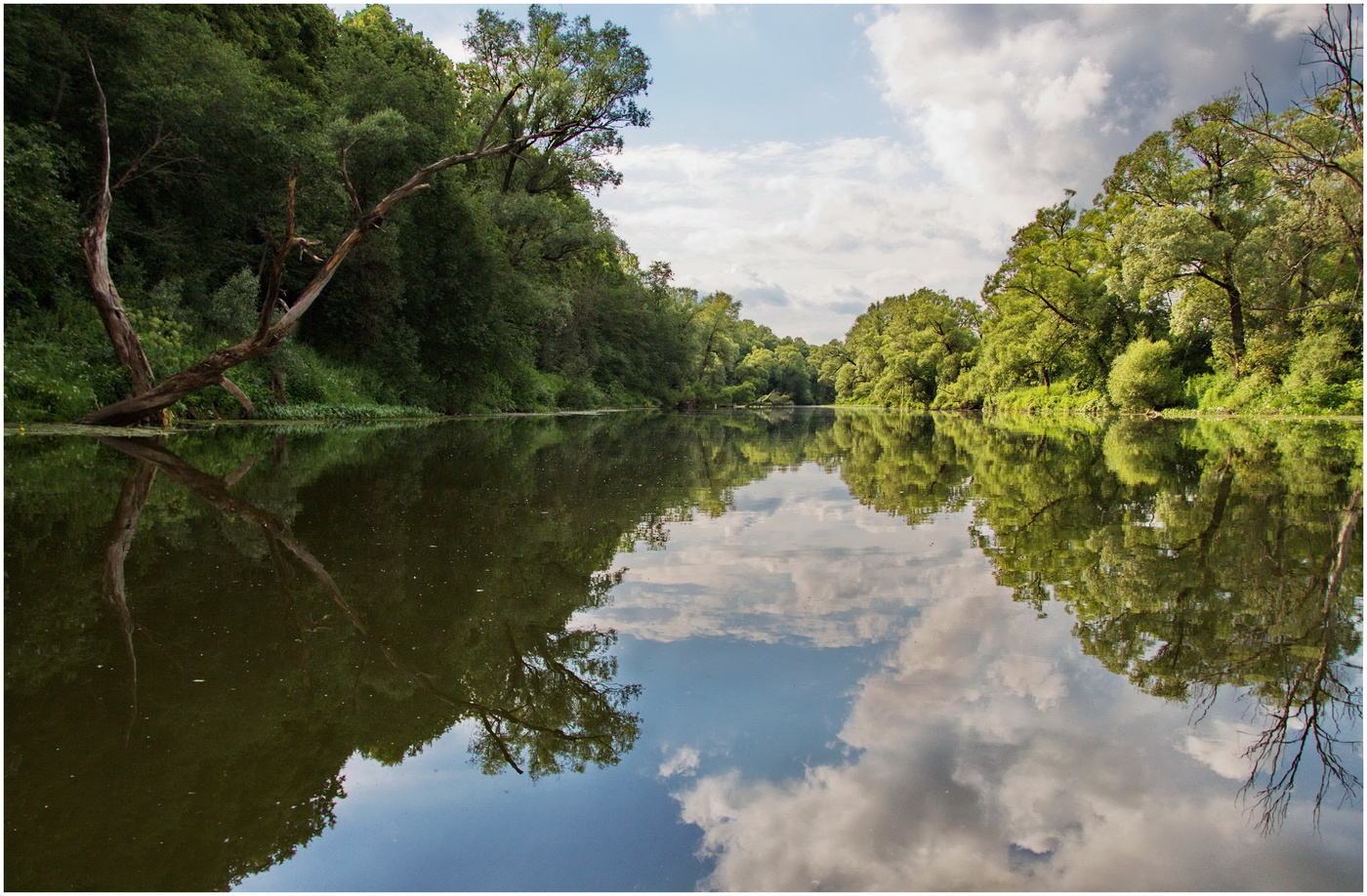 Речной пейзаж