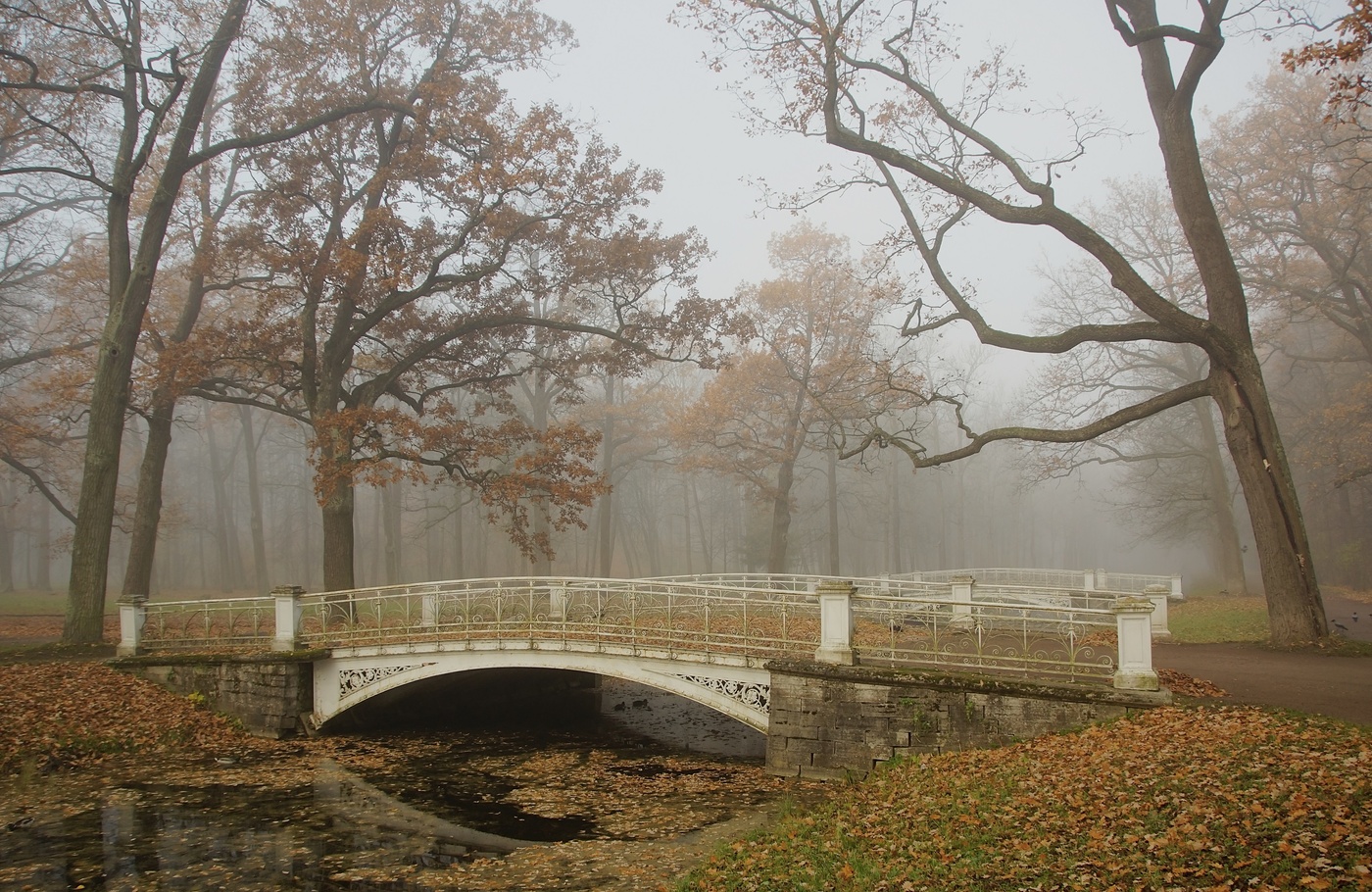 Осеннее утро...
