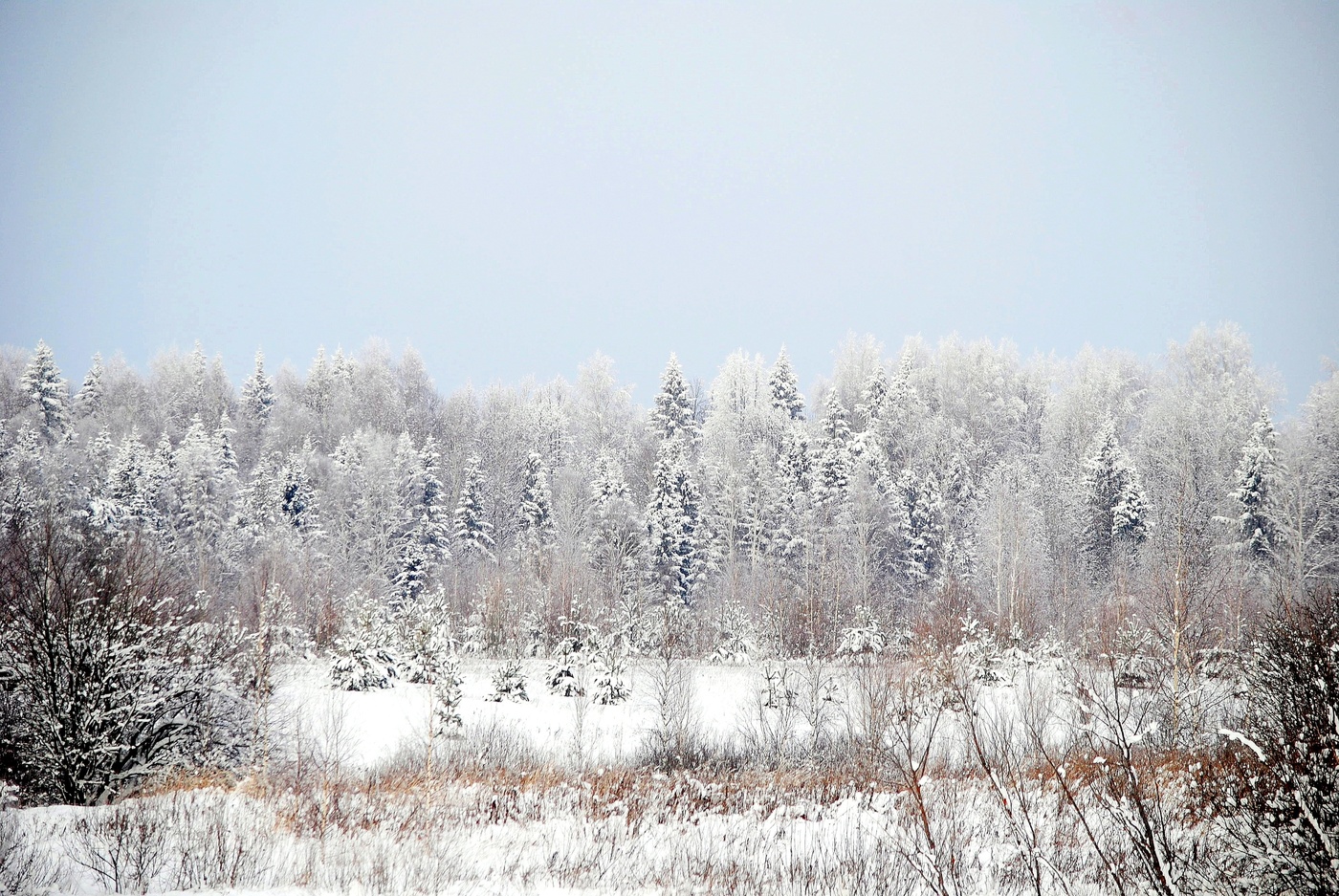 Ах ты зимушка-зима!