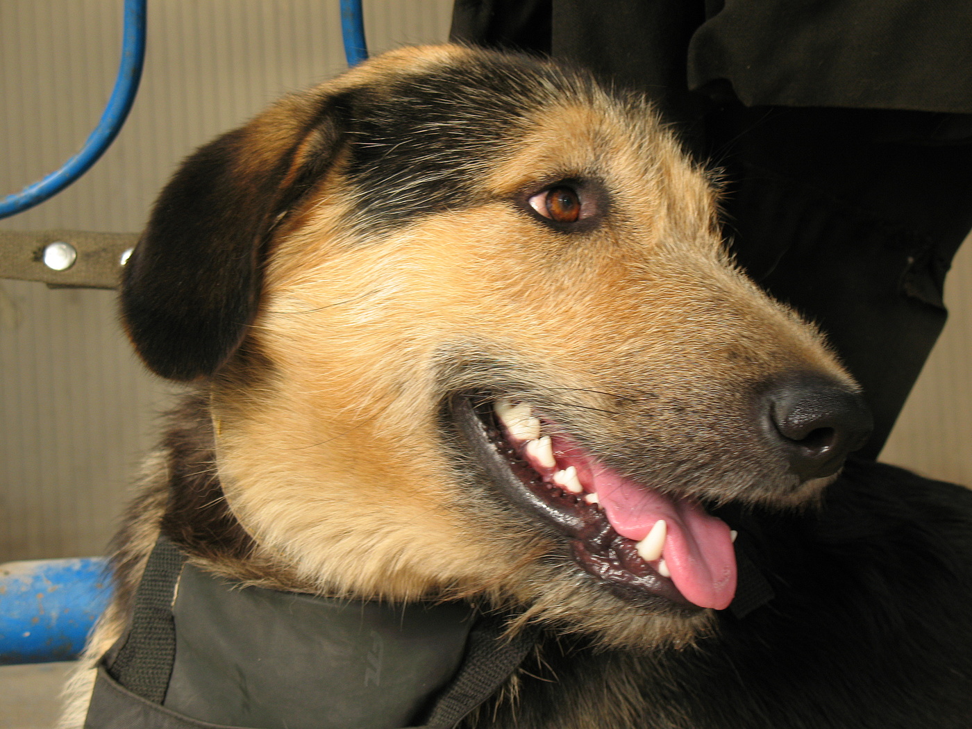 -Ах оставьте!