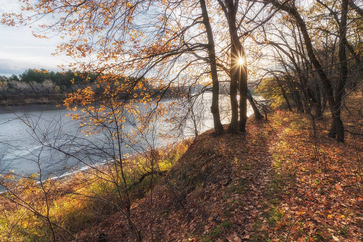 Шорох листьев под ногами
