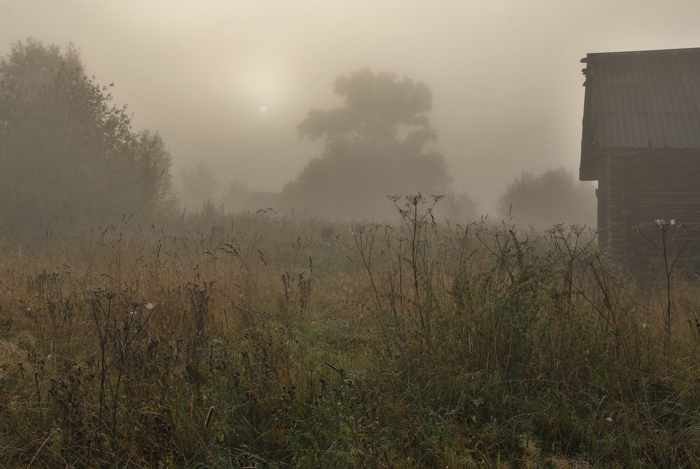 Светлеет ...