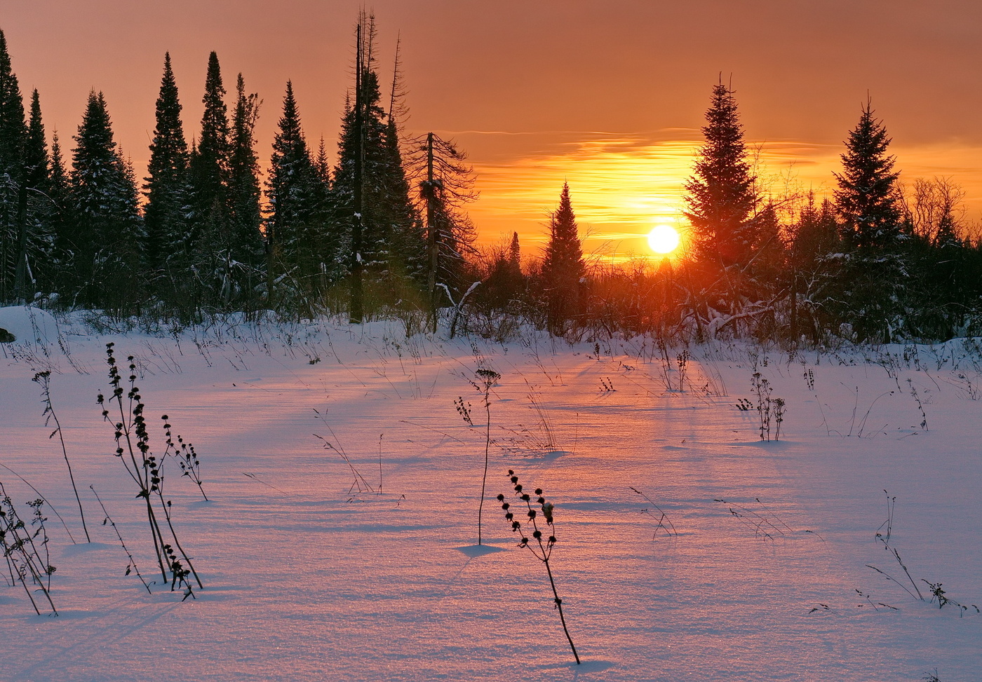 Закат в лесу.