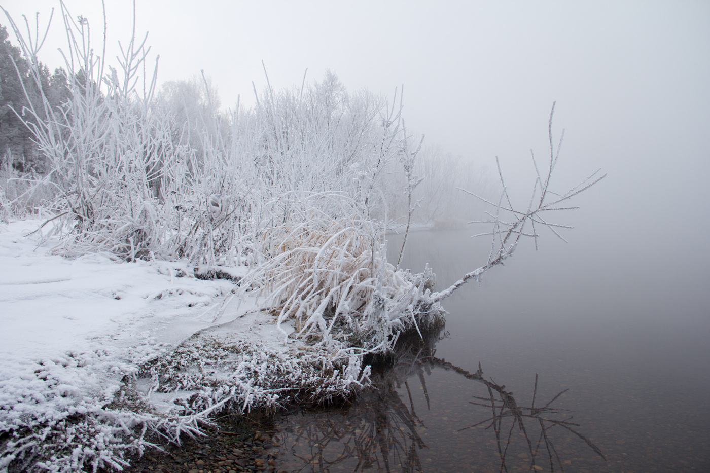 На берегу реки Енисей
