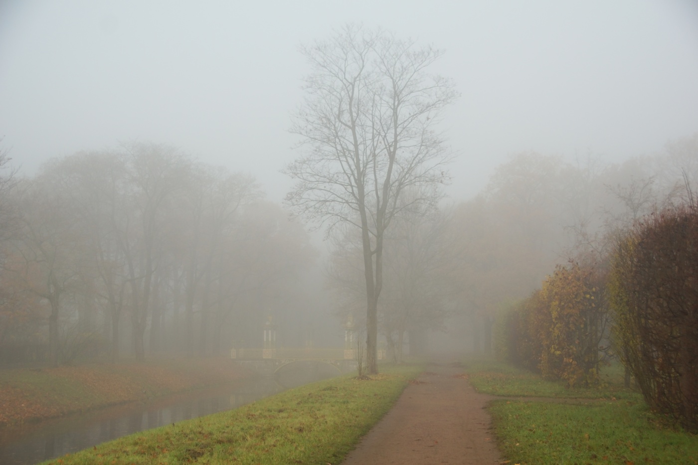 Осеннее утро...