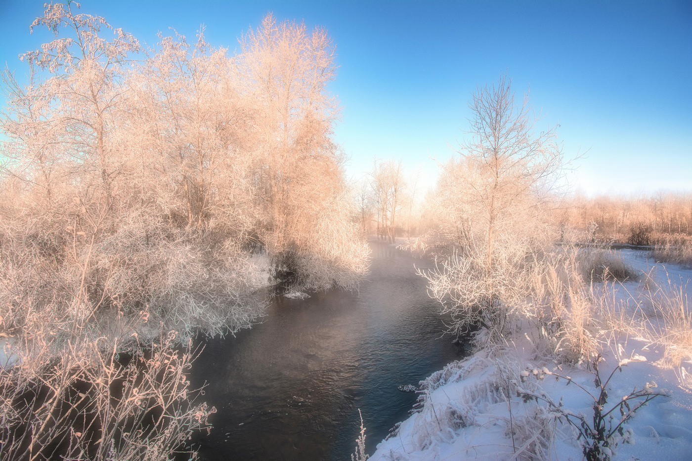 В утренних лучах