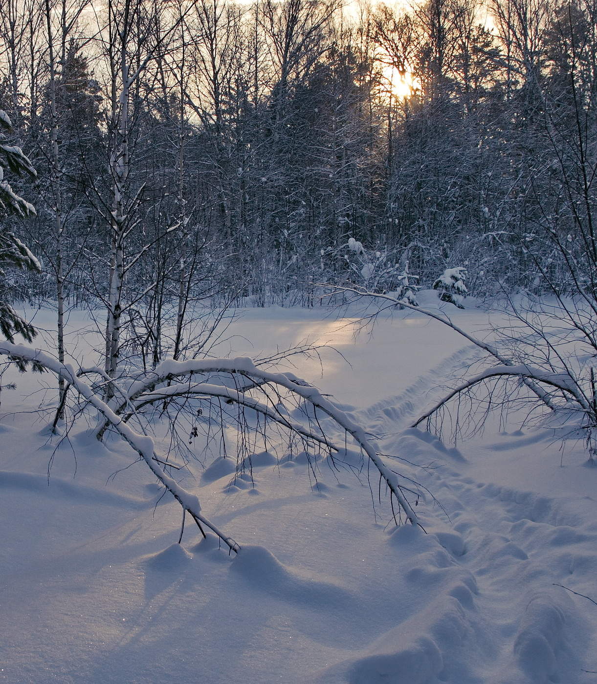 *Холодает.**
