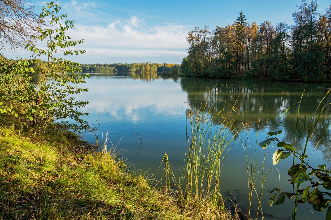 Волжский залив Топуча
